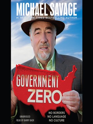 cover image of Government Zero